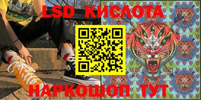 прущие грибы Беслан