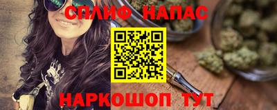 прущие грибы Беслан